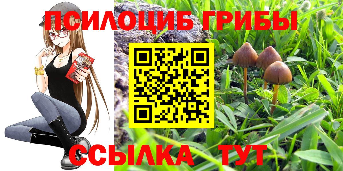 Галлюциногенные грибы ЛСД  Псилоцибиновые грибы ЛСД  Вход с VPN  Кувандык 